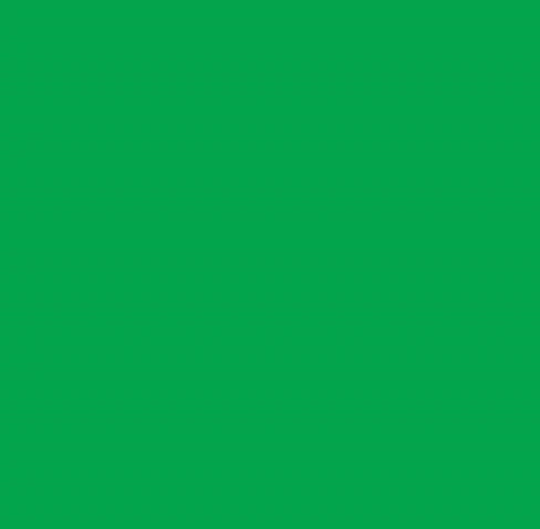 Πράσινο chroma key backdrop για AI επεξεργασία, virtual backgrounds και photobooth.
